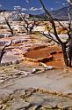 052 yellowstone, mammoth hot springs, upper terraces